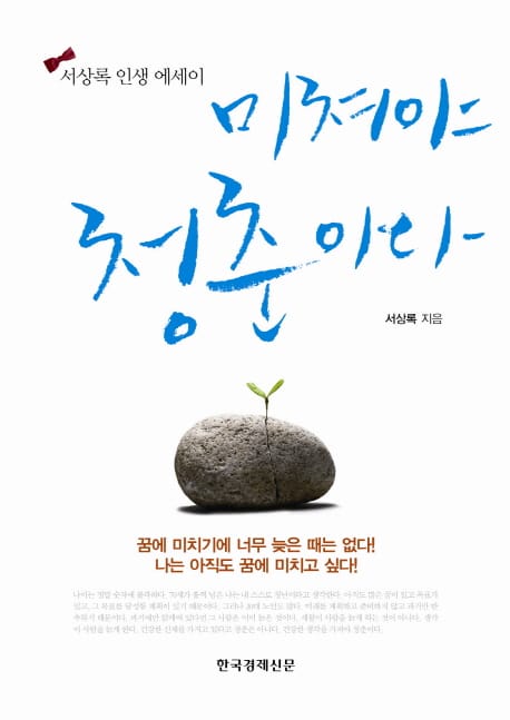 미쳐야 청춘이다 (서상록 인생 에세이)