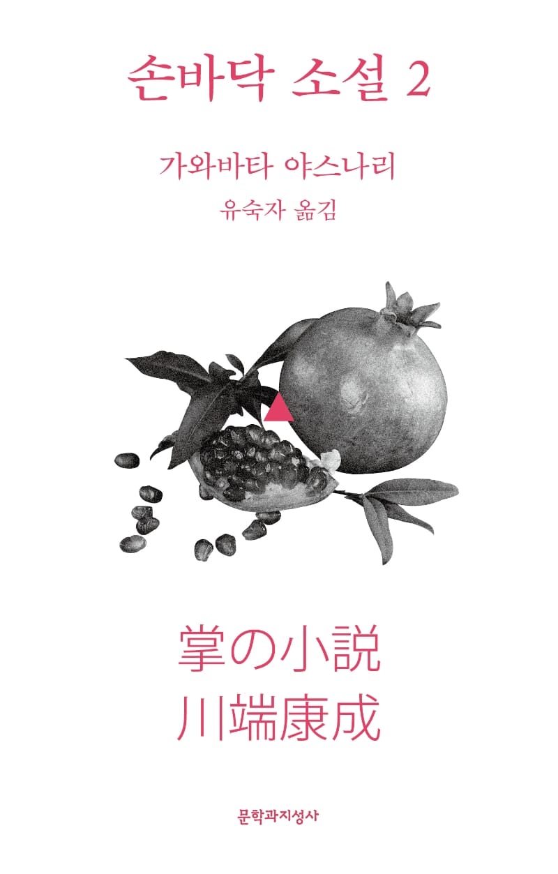 손바닥 소설 :掌篇小說