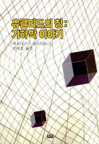유클리드의 창 (기하학 이야기,유클리드에서 아인슈타인까지 포괄하는 매우 훌륭한 기하학 입문서이다)