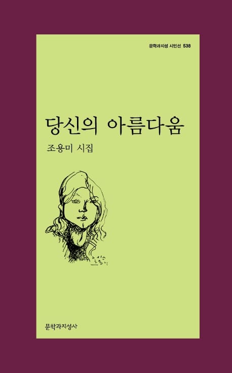 당신의 아름다움 (조용미 시집)