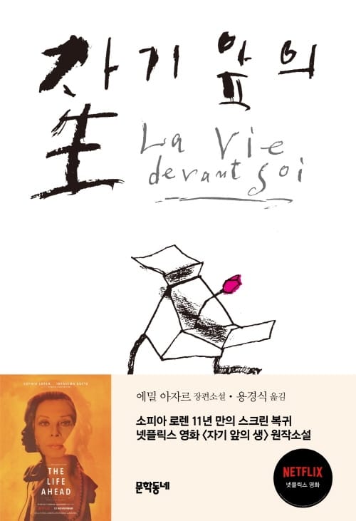 자기 앞의 生 :에밀 아자르 장편소설