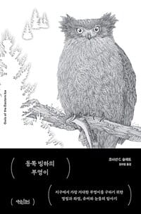 동쪽 빙하의 부엉이