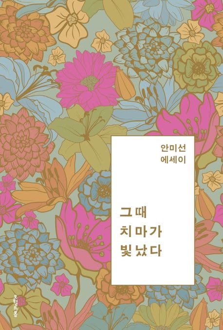 그때 치마가 빛났다 (안미선 에세이)