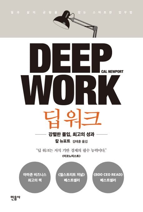 딥 워크 (강렬한 몰입, 최고의 성과 | 일과 삶의 균형을 잡는 스마트한 업무법)