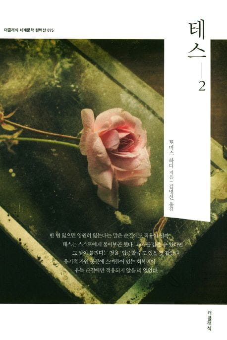 테스 2