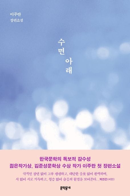 수면 아래 (이주란 소설)