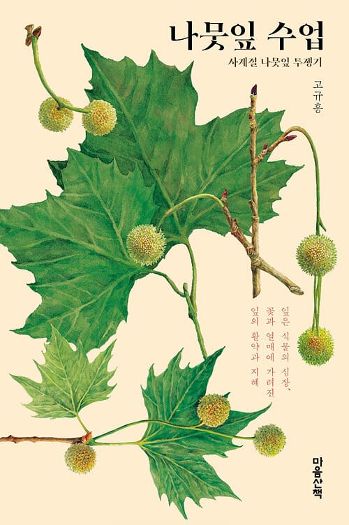 나뭇잎 수업 (큰글자도서) (사계절 나뭇잎 투쟁기)