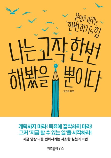 나는 고작 한번 해봤을 뿐이다 (운명을 바꾸는 한번 하기의 힘)