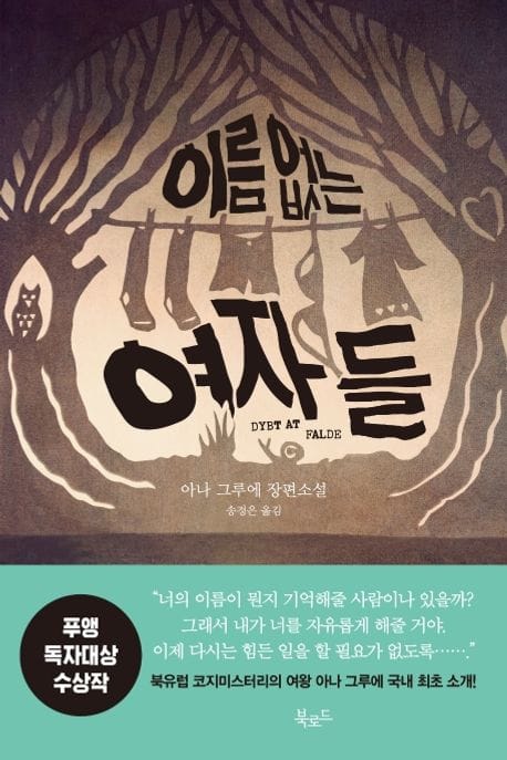 이름 없는 여자들 (아나 그루에 장편소설)