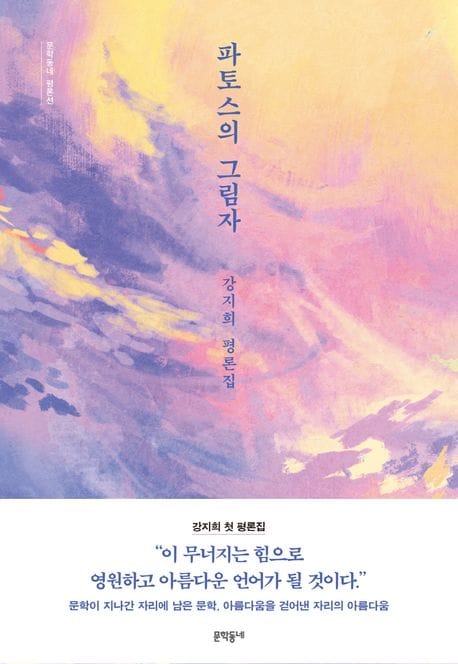 파토스의 그림자 (강지희 평론집)