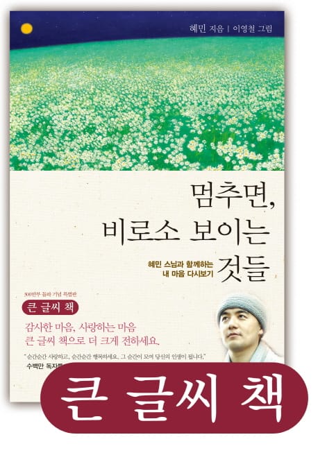 멈추면, 비로소 보이는 것들(큰글씨책) (혜민 스님과 함께하는 내 마음 다시보기)