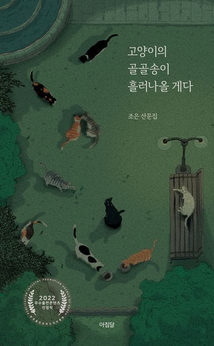 고양이의 골골송이 흘러나올 게다 (조은 산문집)