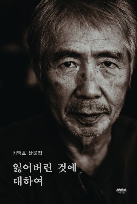 잃어버린 것에 대하여 (최백호 산문집)