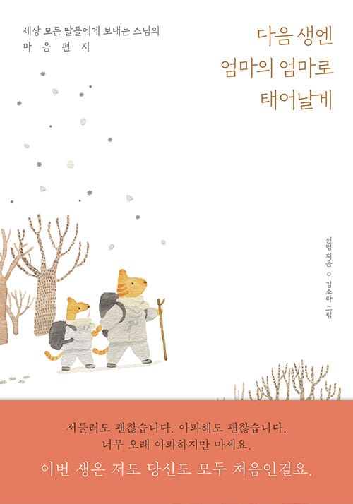 다음 생엔 엄마의 엄마로 태어날게 (세상 모든 딸을에게 보내는 스님의 마음편지)