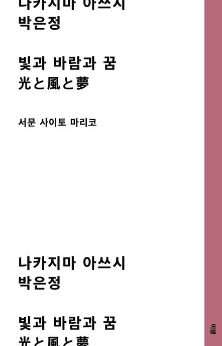 빛과 바람과 꿈 (나카지마 아쓰시 소설)