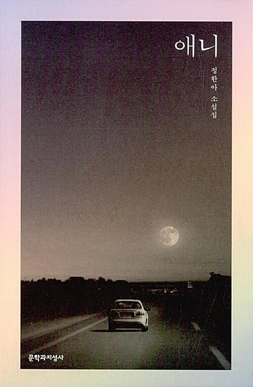 애니 (정한아 소설집)