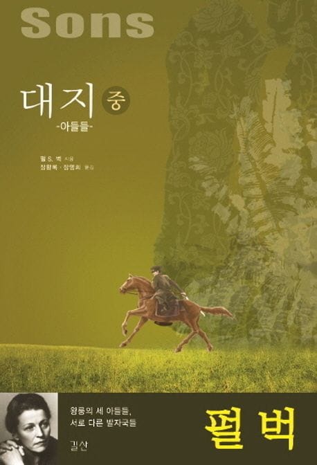 대지