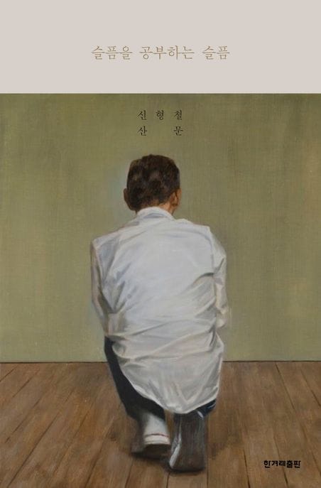[큰글자도서] 슬픔을 공부하는 슬픔