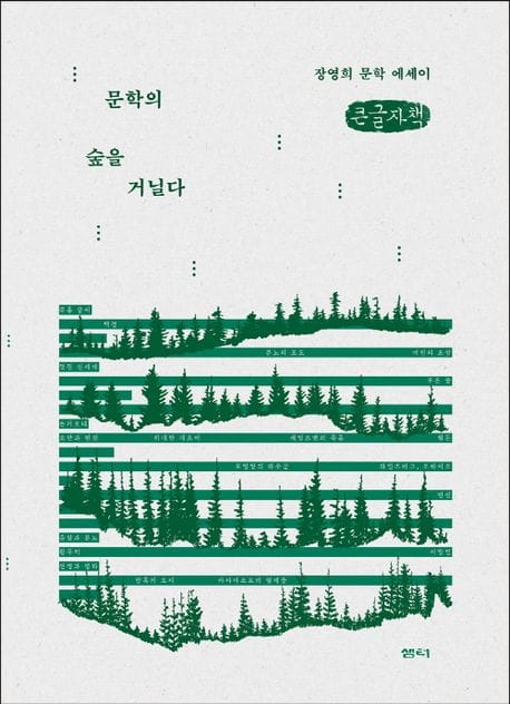 [큰글씨책] 문학의 숲을 거닐다 - 장영희 문학 에세이