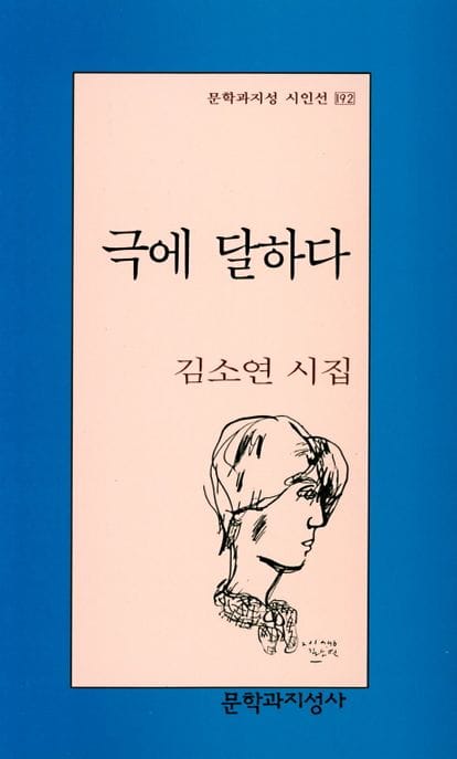 극에 달하다 (김소연 시집)
