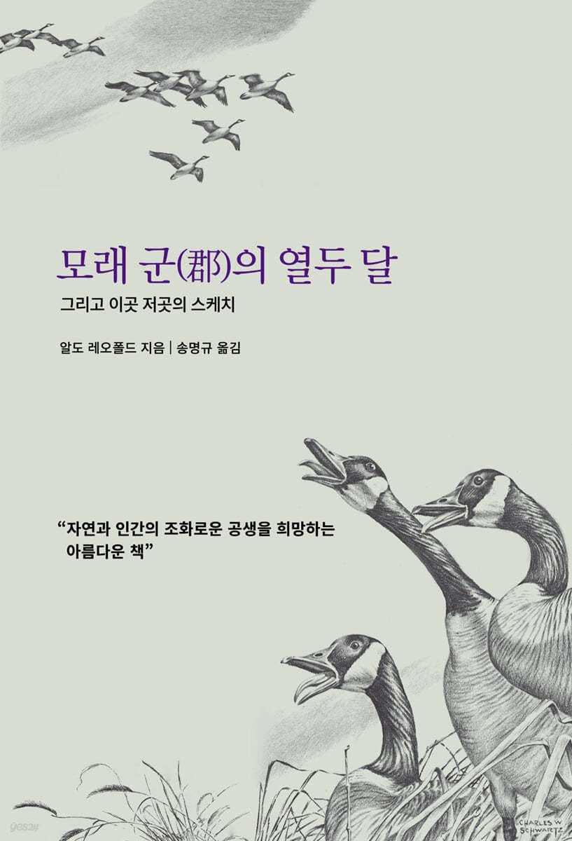 모래 군(郡)의 열두 달 (그리고 이곳 저곳의 스케치)