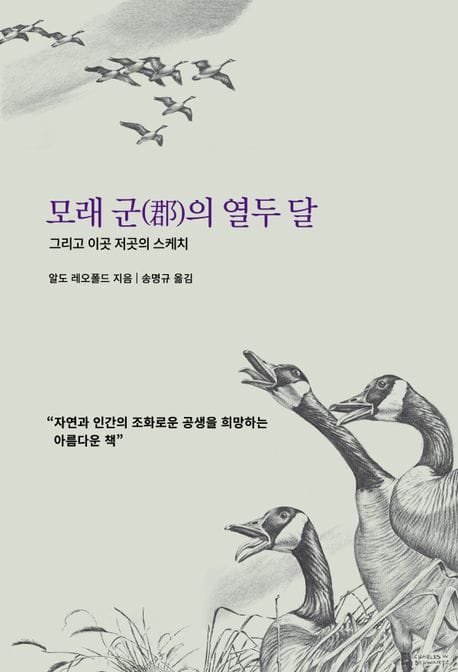 모래 군(郡)의 열두 달 - 그리고 이곳 저곳의 스케치