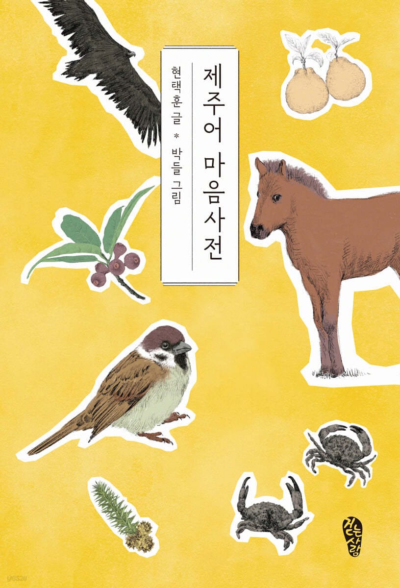 제주어 마음사전 (큰글자도서)