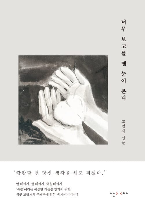 너무 보고플 땐 눈이 온다 (고명재 산문집)