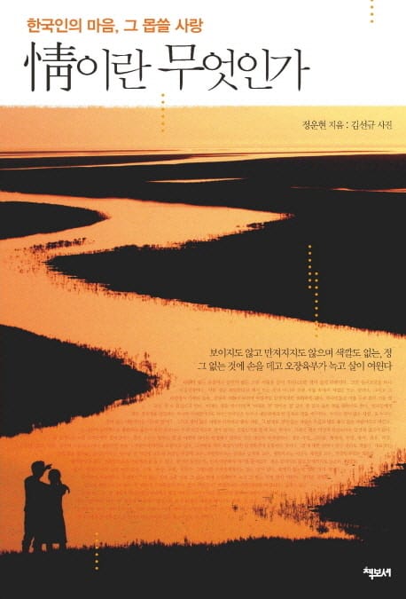 정이란 무엇인가 (한국인의 마음, 그 몹쓸 사랑)