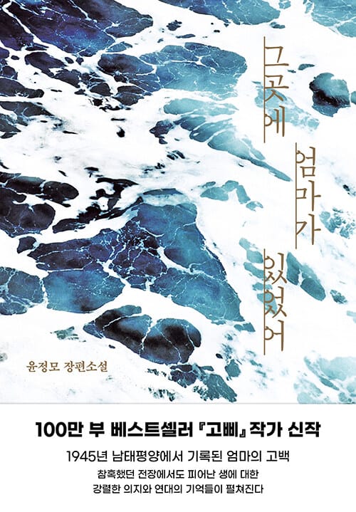 그곳에 엄마가 있었어 (윤정모 장편소설)
