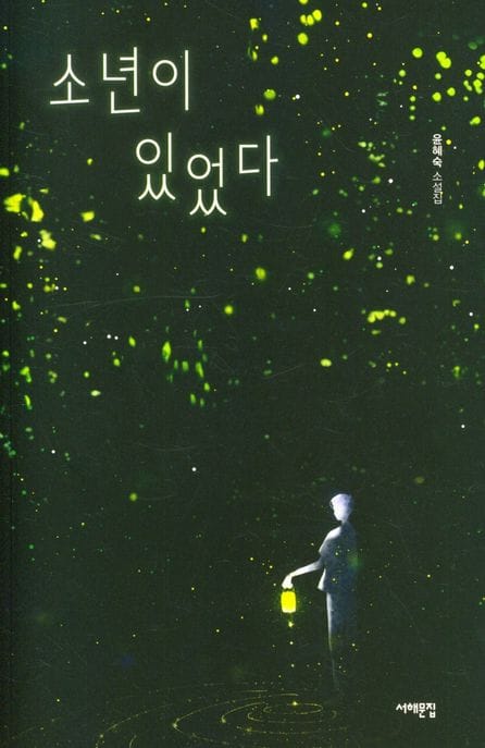 소년이 있었다 (윤혜숙 소설집)