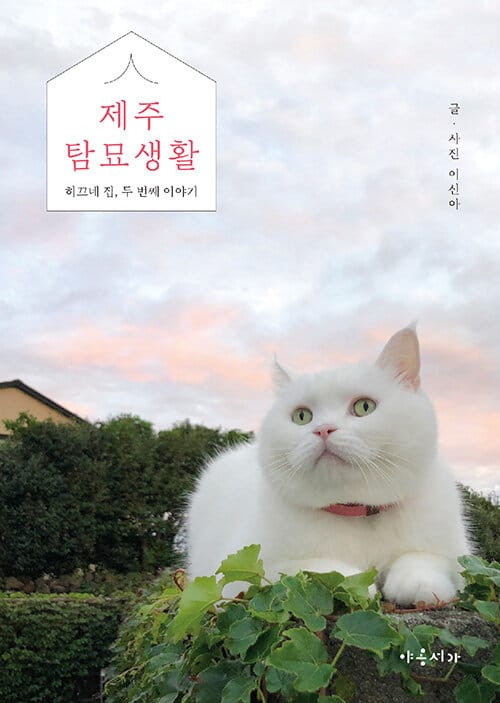 제주탐묘생활 (히끄네 집, 두 번째 이야기)