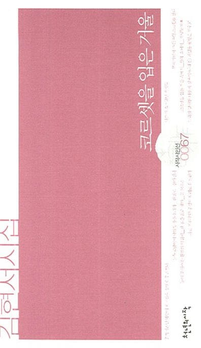 코르셋을 입은 거울