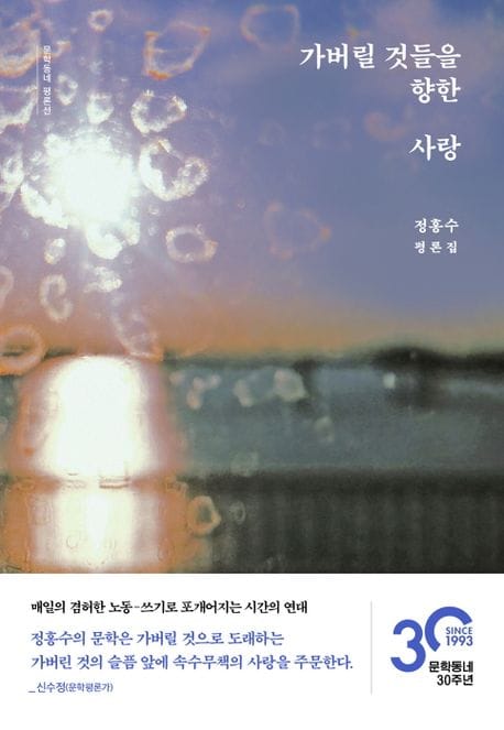 가버릴 것들을 향한 사랑 (정홍수 평론집)