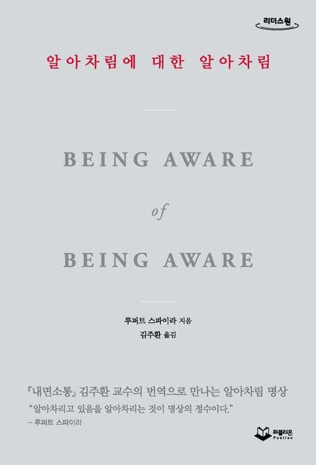 [큰글자도서] 알아차림에 대한 알아차림 - 『내면소통』김주환 교수의 번역으로 만나는 알아차림 명상