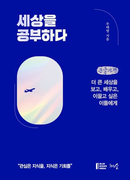세상을 공부하다(큰글자책) (더 큰 세상을 보고, 배우고, 이끌고 싶은 이들에게)