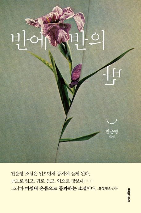 반에 반의 반 (천운영 소설)