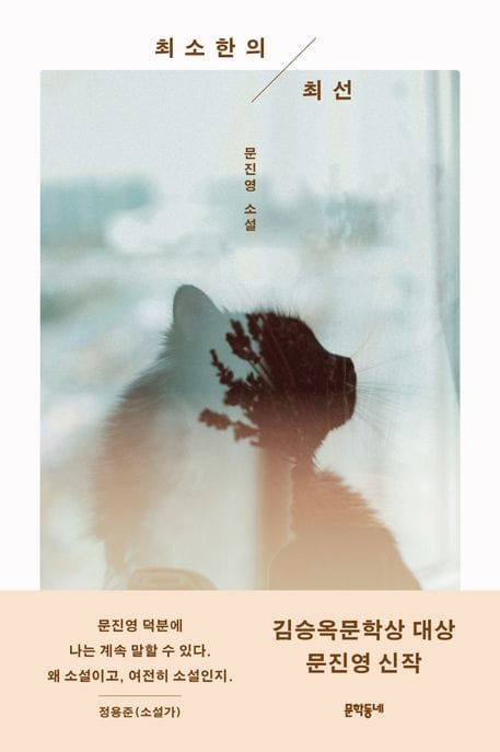 최소한의 최선 (문진영 소설)