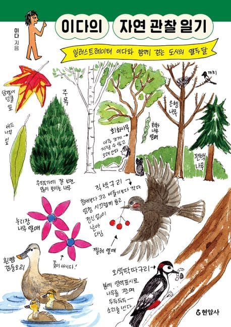 [큰글자도서] 이다의 자연 관찰 일기 - 일러스트레이터 이다와 함께 걷는 도시의 열두 달