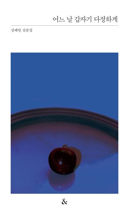 어느 날 갑자기 다정하게 (강혜빈 산문집)