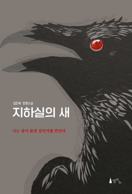 지하실의 새 (김은채 장편소설)