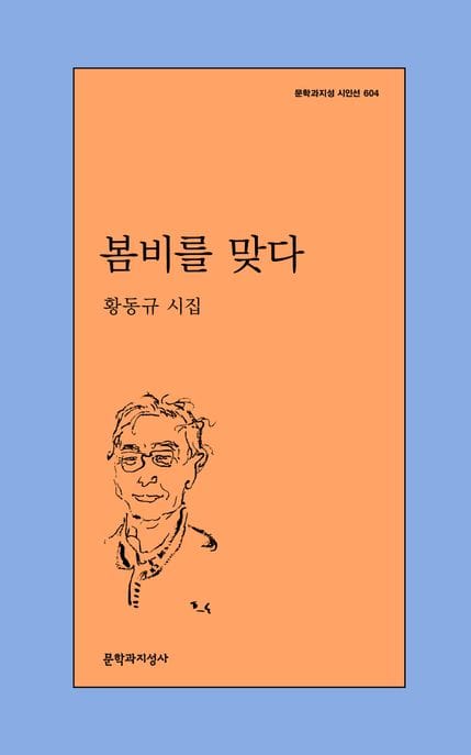 봄비를 맞다 (황동규 시집)