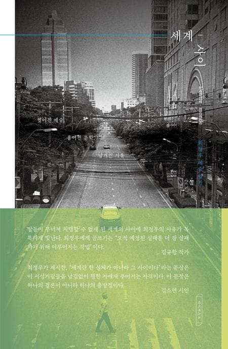 세계-사이 (찢어진 예술, 흩어진 문학, 남겨진 사유)