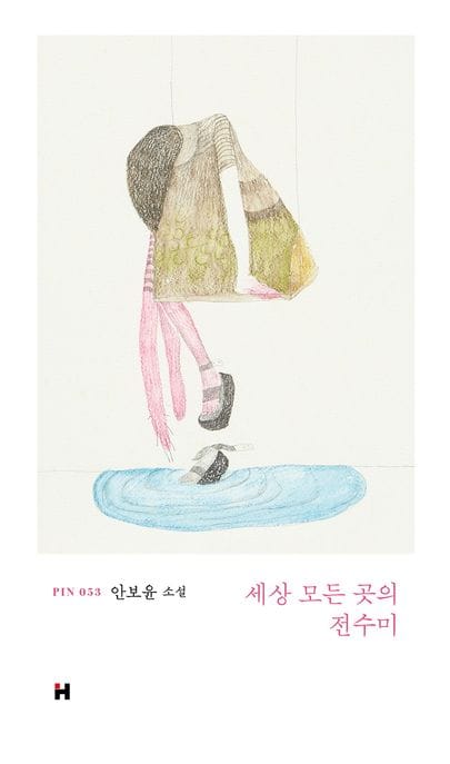 세상 모든 곳의 전수미 (안보윤 소설)