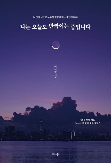 나는 오늘도 반짝이는 중입니다 (나만의 색으로 눈부신 희망을 찾는 중년의 지혜)