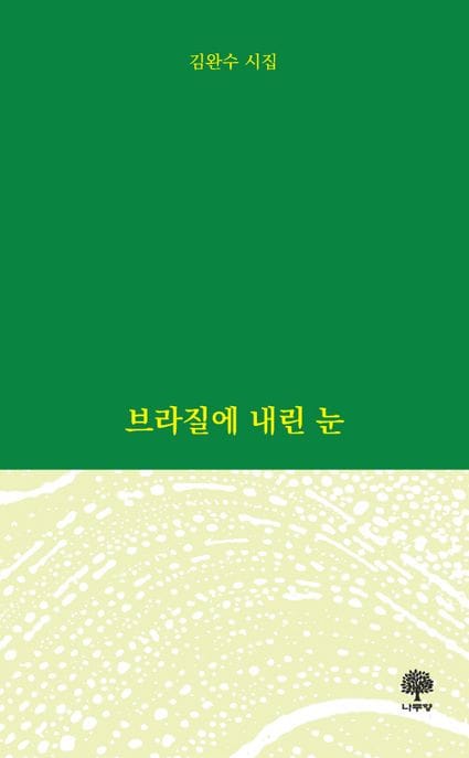 브라질에 내린 눈
