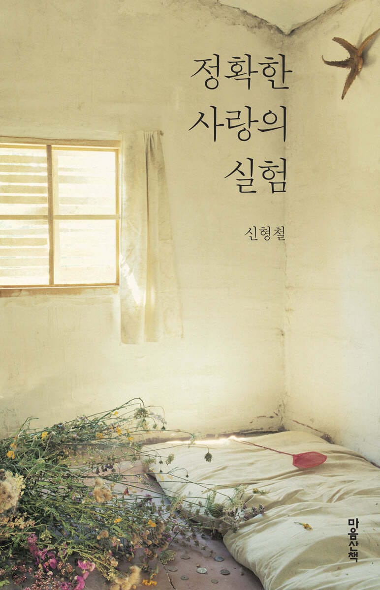 [큰글자도서] 정확한 사랑의 실험