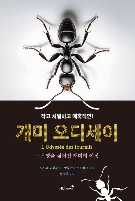 개미 오디세이 (운명을 짊어진 개미의 여정)