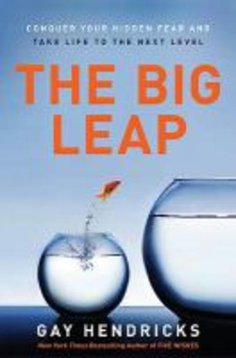 The Big Leap: Conquer Your Hidden Fear and Take Life to the Next Level (Conquer Your Hidden Fear and Take Life to the Next Level)
