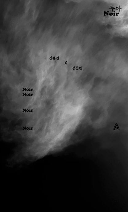 누아(Noir)(타입 에디션)